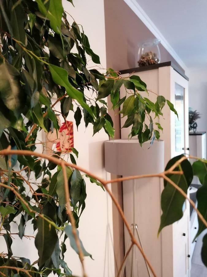 Apartman Luna ชิเบนิก ภายนอก รูปภาพ